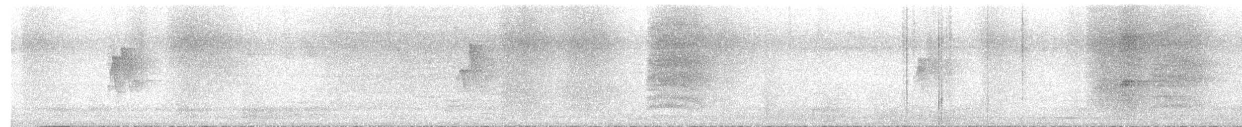 זהבן שחור-עורף - ML645825796