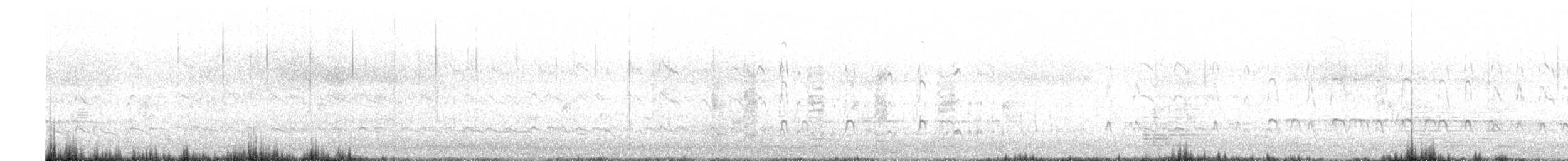 Ostrero Pío Australiano - ML645827369