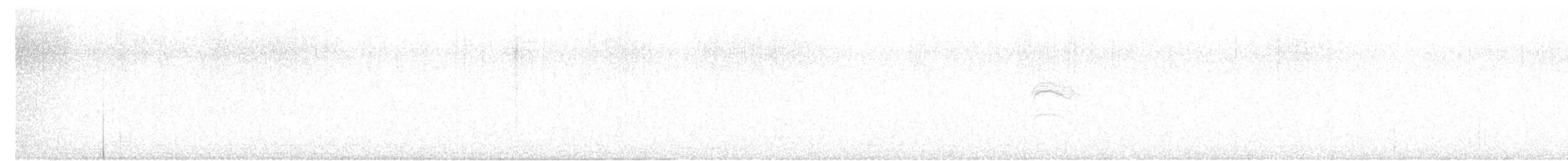 Búho Campestre (Hawái) - ML645827833