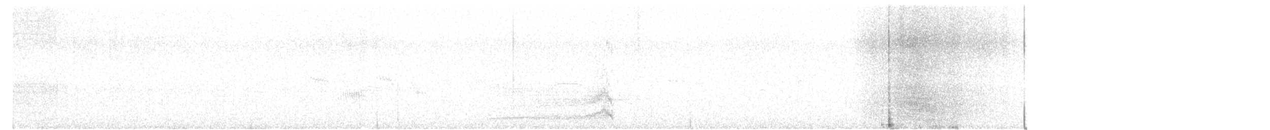 Búho Campestre (Hawái) - ML645827835