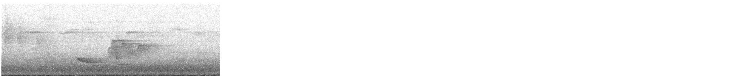 Turpial de Baltimore - ML645827842