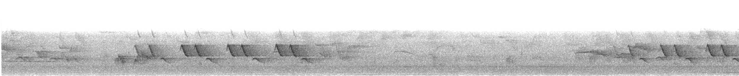 Carbonero Carigualdo Chino - ML645827946