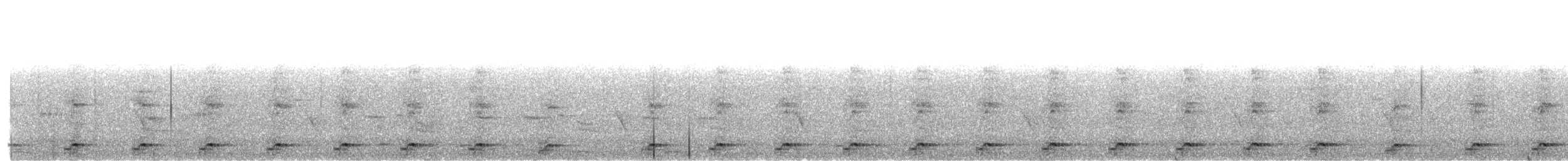 シロハラクイナ - ML645828089