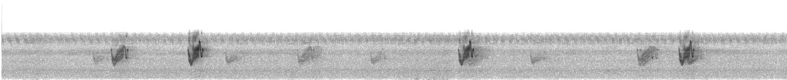 Savanna Nightjar - ML645828489