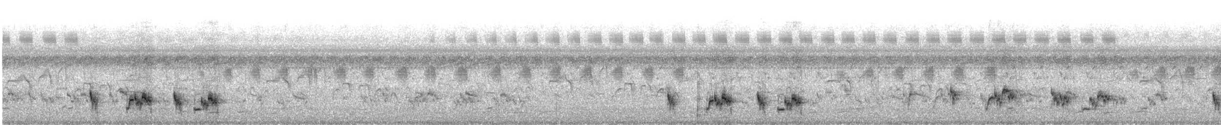 Çin Arapbülbülü - ML645828516