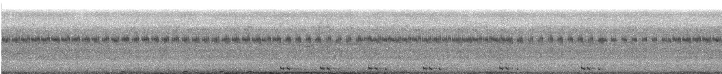 Bengalenkuckuck - ML645828551