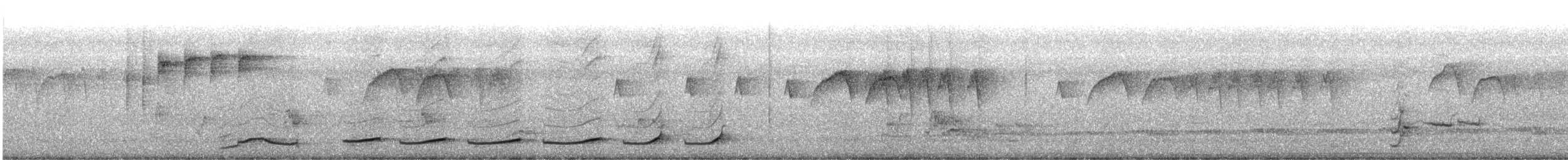 Kara Boğazlı Gevezeardıç [chinensis grubu] - ML645828577