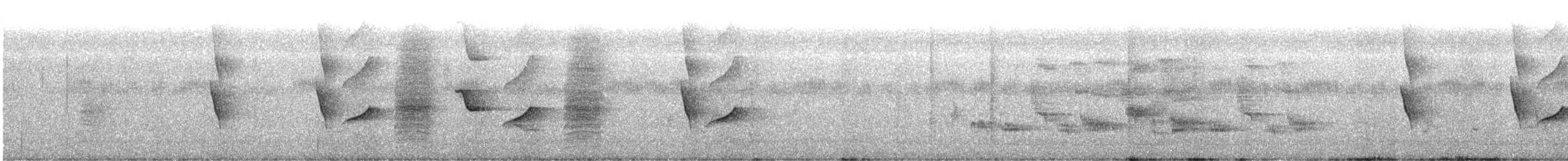 Telli Drongo - ML645828776