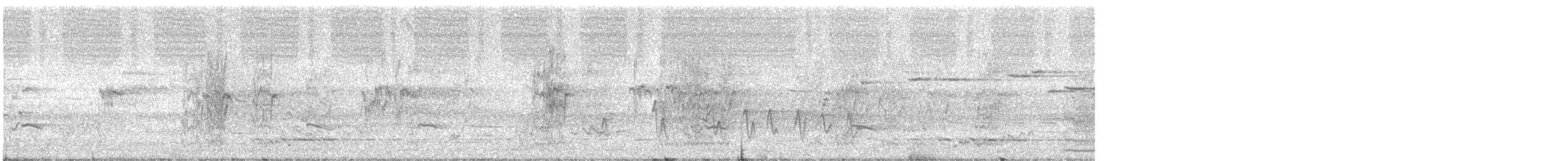 Musk Lorikeet - ML645828839