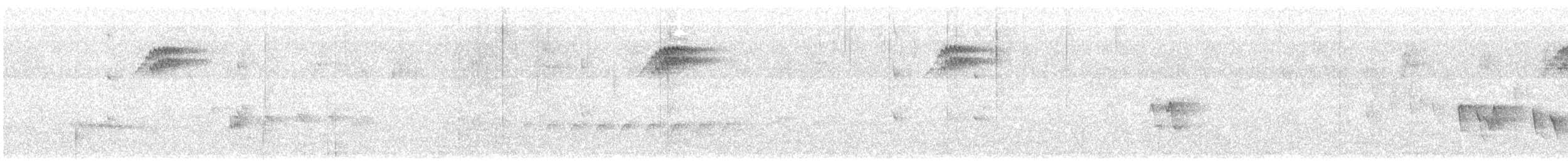 Tasmanerddrossel - ML645829414