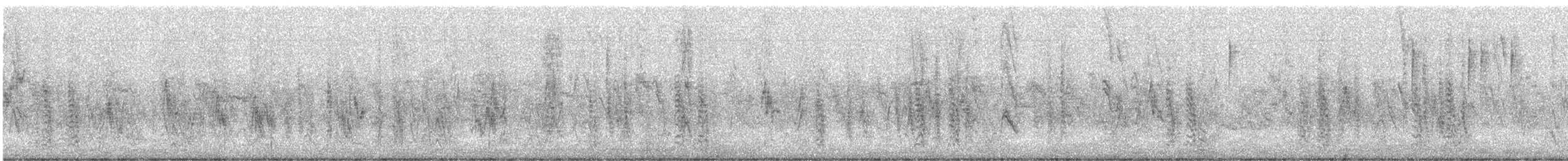 Gorrión Molinero - ML645829527