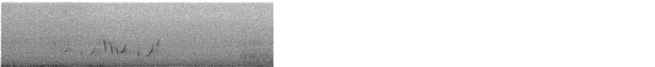 ornathonningeter - ML645829592