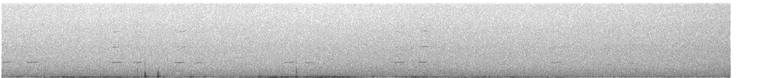 svarthodeparakitt (semitorquatus) - ML645829593