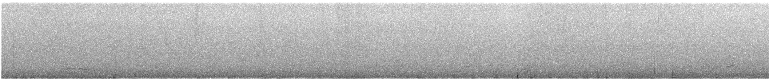 gråryggslakterfugl - ML645829794