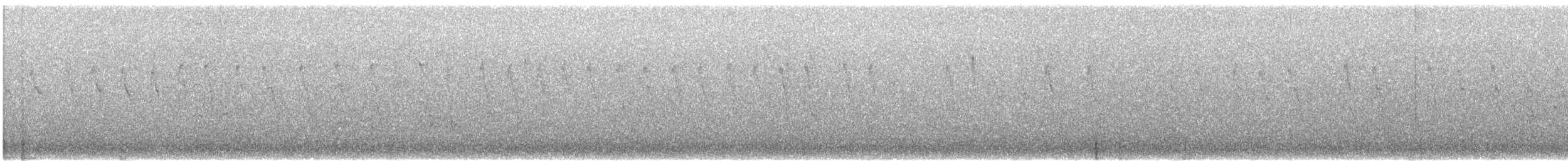 stripesittella (pileata) - ML645830272