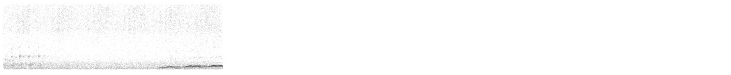 grånebbkoel (cyanocephalus/subcyanocephalus) - ML645830319