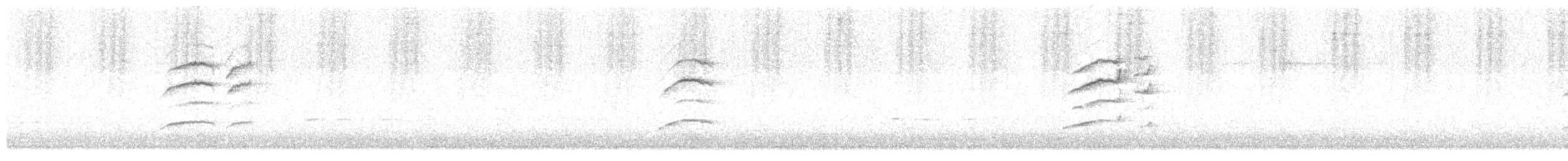 gråbrystbrillefugl - ML645830321