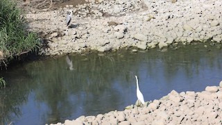 台北--三峽溪北河濱公園(Taipei--Sanxia Xibei Riverside Park), New Taipei City ...