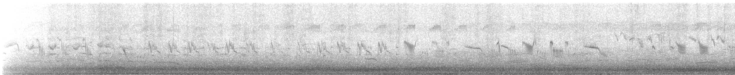 זרעית השדה - ML645830602