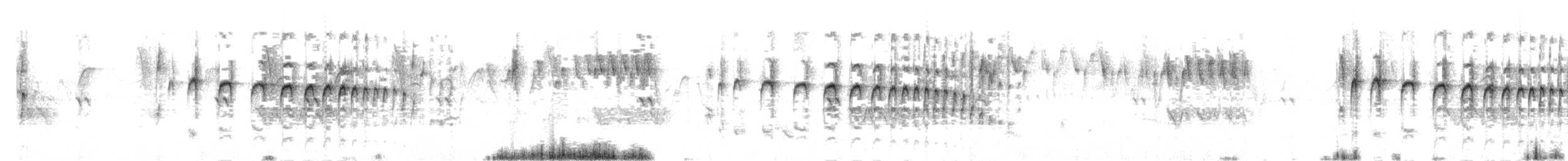 stripekronepiggstjert - ML645830907