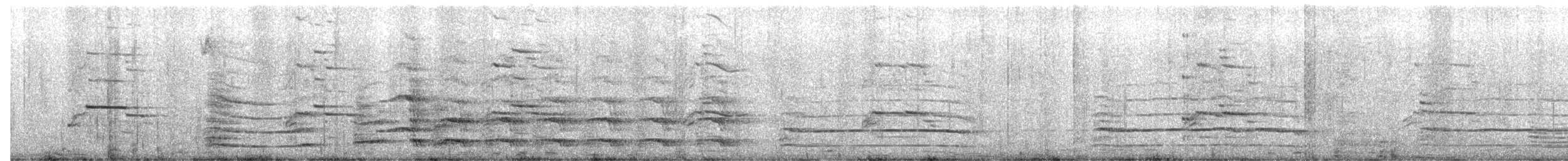 gråmåke - ML645830974