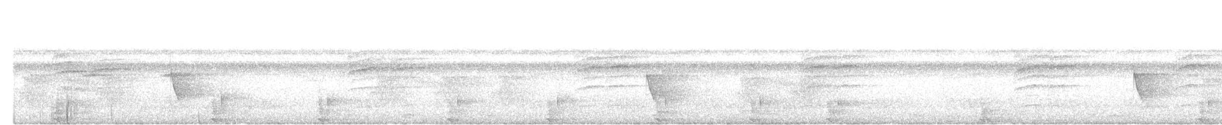 Лофур чубатий - ML645831808