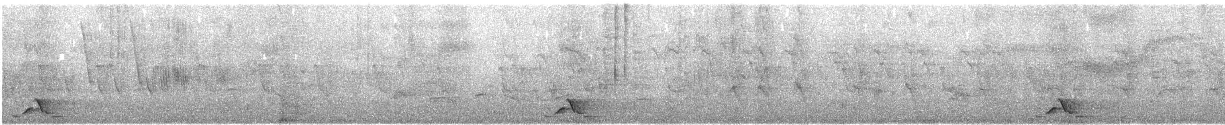 アフリカズキンコウライウグイス - ML645831981