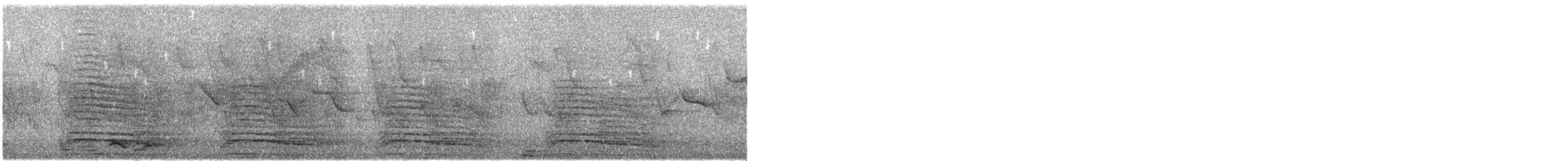 ハダダトキ - ML645831983