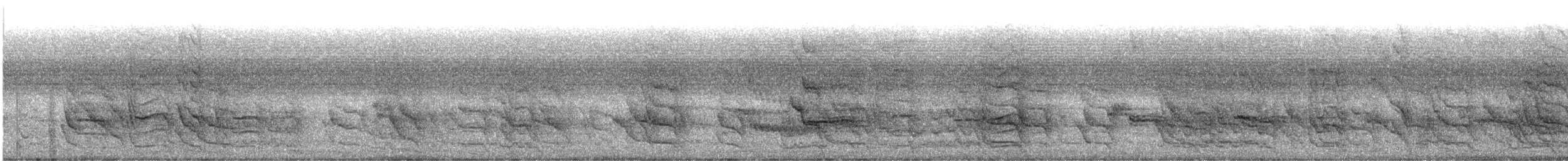 Alexandrine Parakeet - ML645832504