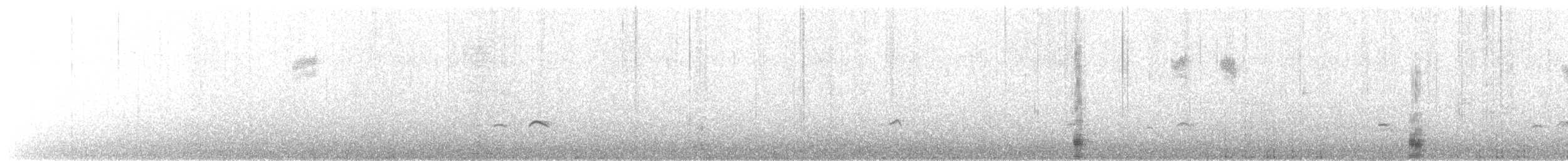 Hühnergans - ML645832845