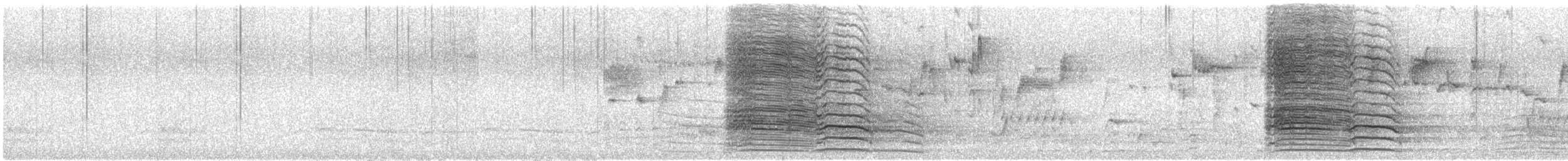 Какаду західний - ML645832925