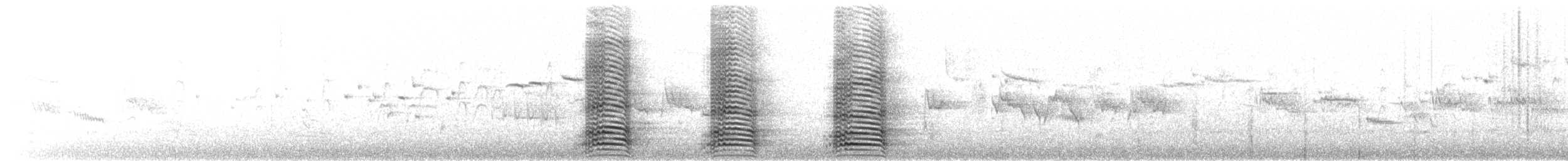 Австралийский ворон - ML645832929
