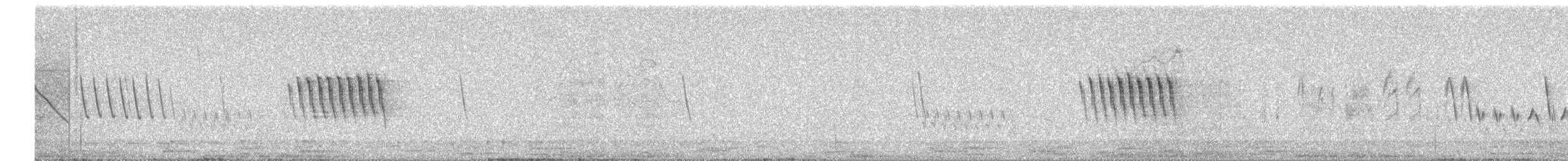 Southern House Wren - ML645832953