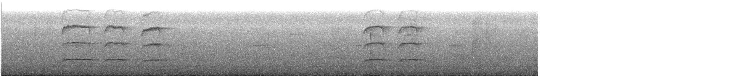 Dusky Myzomela - ML645832979