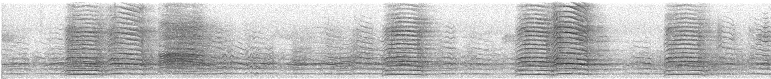 Cacatoès laboureur - ML645833084
