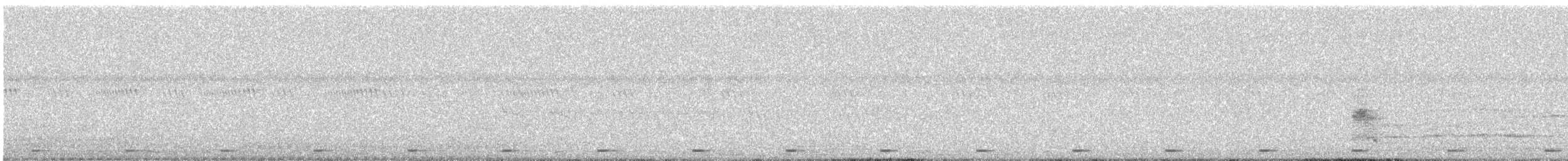 Coppersmith Barbet - ML645833542