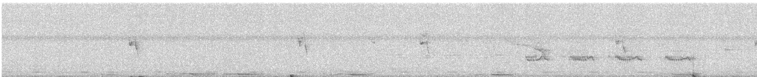 Alexandrine Parakeet - ML645833568