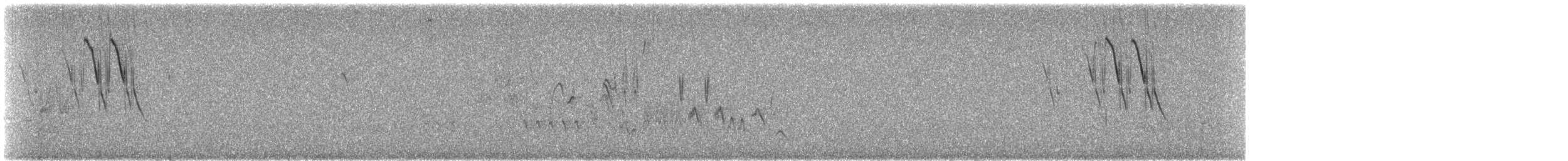 Band-tailed Sierra Finch - ML645834331