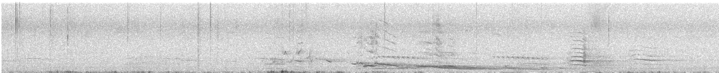 Australian Magpie (Western) - ML645834484