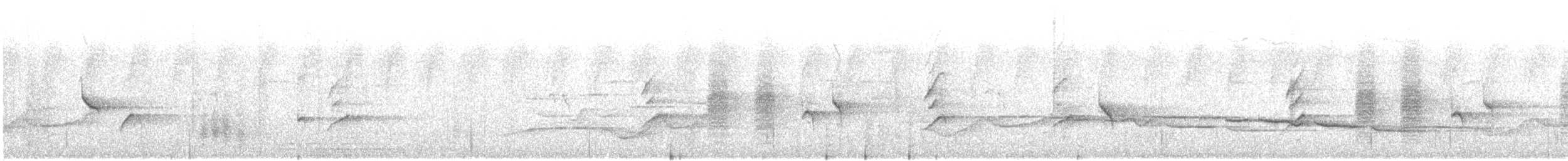 Ashy Drongo - ML645834499