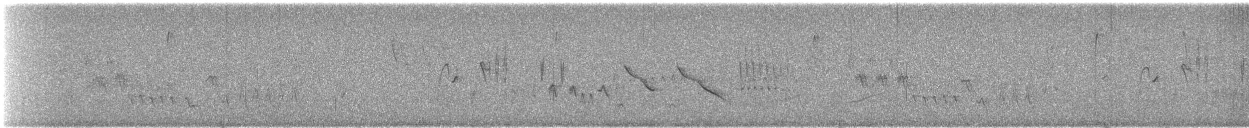 Southern House Wren - ML645834519