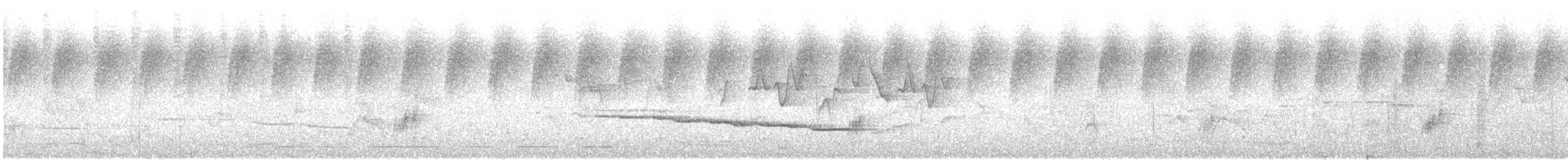 bird sp. - ML645834569