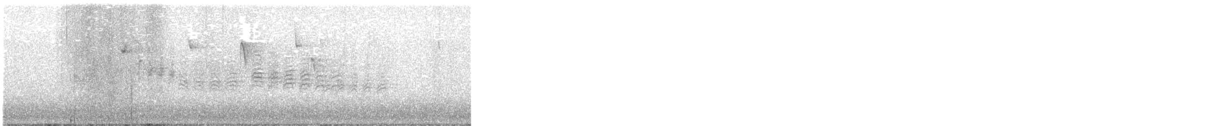 Carolina Chickadee - ML645835321