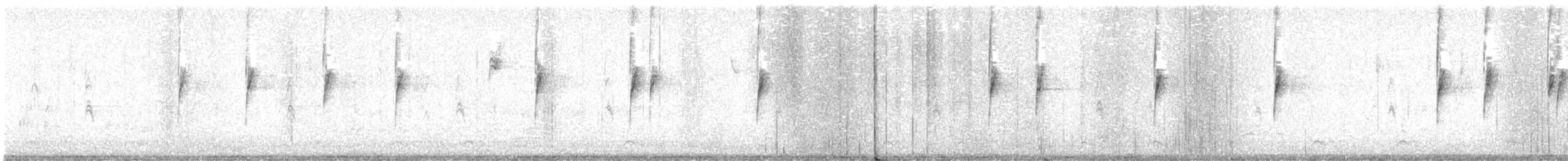 White-crowned Sparrow - ML645835570