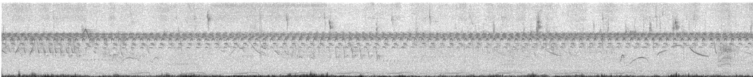 Small-billed Elaenia - ML645835655