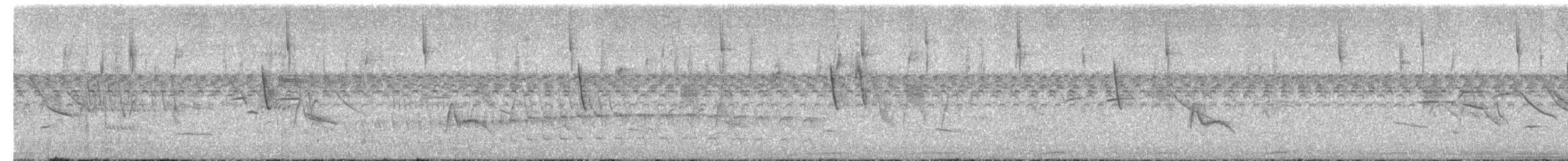 Small-billed Elaenia - ML645835656