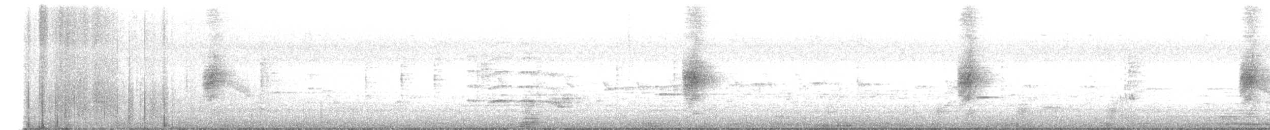 Indian Paradise-Flycatcher - ML645835668