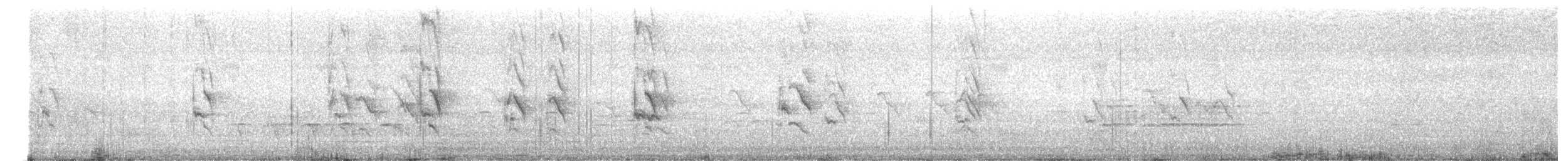 Parrocchetto dal collare - ML645835675