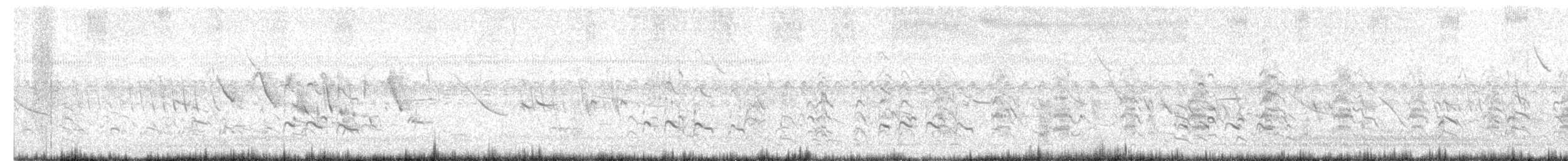 Greater Yellowlegs - ML645835770