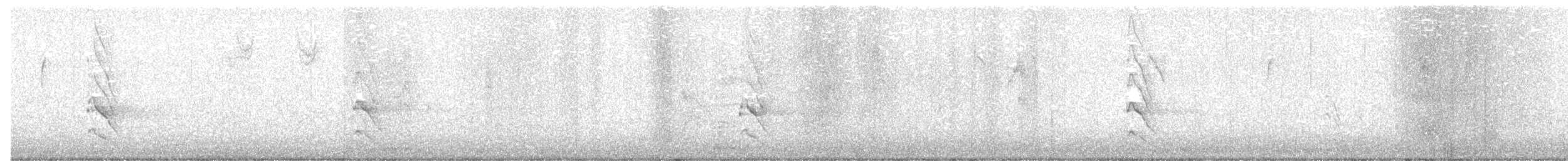 ハシボソキツツキ - ML645835899